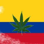 Profile Picture of Ruan Félix McCarthy (@ruanfelix016) on Instagram