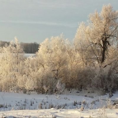 Profile Picture of Dave L Gottschalk (@GottschalkDave) on Twitter