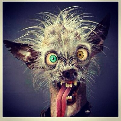 Profile Picture of Thomas Manner (@MannerThomas) on Twitter