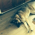 Profile Picture of Janet Barton (@janetbarton8) on Instagram