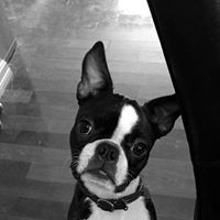 Profile Picture of Lisa Saxby (@lisa-saxby-1) on Quora