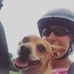 Profile Picture of Chris Gatton Crabtree (@chris.gattoncrabtree) on Facebook