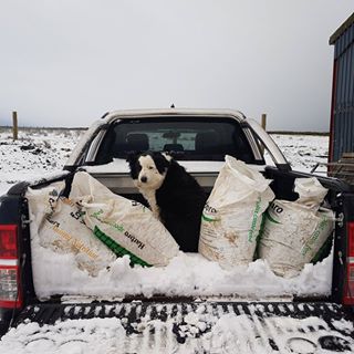 Profile Picture of James Macmillan (@james.macmillan.7169) on Facebook