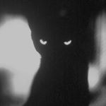 Profile Picture of wright_forest_wright (@wright_forest_wright) on Instagram