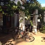 Profile Picture of Thomas Cawood (@cawoodt) on Instagram