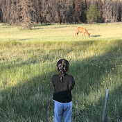 Profile Picture of Yan Zhang (@yanzhang5999) on Youtube