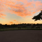 Profile Picture of Dirk Hack (@Dirk-Hack) on Facebook