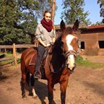 Profile Picture of BronislawBabicyn (@jasonogyyb593131) on Instagram