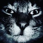 Profile Picture of Jeremy Pelcastre (@jeremypelca) on Instagram
