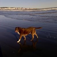 Profile Picture of Miriam Wolfe (@miriam-wolfe) on Quora