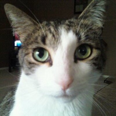 Profile Picture of Everett Barker (@EverettBarker1) on Twitter