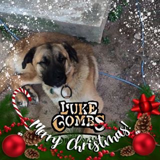 Profile Picture of Scott Jones (@Scott-Jones) on Facebook