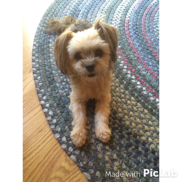 Anastasia Migliaccio - Poshmark Profile Picture of Anastasia Migliaccio (@anastasia12345) on Poshmark