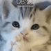 Profile Picture of Kayla Mundy (@kayla.mundy.16121) on Facebook