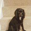Profile Picture of Bob Beattie (@@bobbeattie1) on Tiktok
