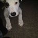 Profile Picture of Bryce Shirley (@bryce.shirley.9461) on Facebook