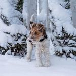 Profile Picture of Joanne Proulx (@jprox59) on Instagram