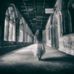 Profile Picture of Tomas Strauss (@tomas.strauss.716) on Facebook