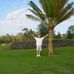 Profile Picture of Mark Phipps (@mark.phipps.90) on Facebook
