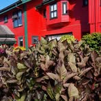 Profile Picture of Remigio Eduardo Diaz Perez (@remigio.eduardo.diaz.perez) on Facebook