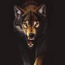 Profile Picture of Jamal Massey (@JamalMassey15) on Twitter