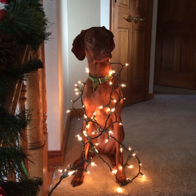 Profile Picture of Mike Kester (@KesterMike) on Twitter