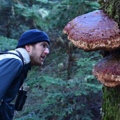 Profile Picture of Ben Phalan (@benphalan) on Twitter