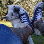 Profile Picture of Gyula Tóth (@fox_eddie) on Instagram