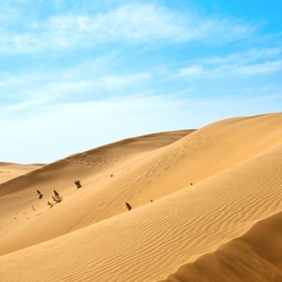 Profile Picture of Hong Shing Raymond Lau (@HongShingRaymo1) on Twitter