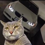 Profile Picture of  (@shell_._walker) on Instagram