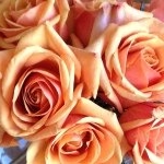 Profile Picture of Marie Alexander Shop (@mariealexandershop) on Instagram