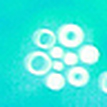 Profile Picture of David-John BERGER (@Johnny Berdefri) on Flickr