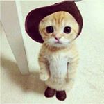 Profile Picture of Shawna (@lovelyfellowship) on Instagram