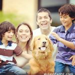 Profile Picture of Michael Toranzo (@michaeltoranzo) on Instagram