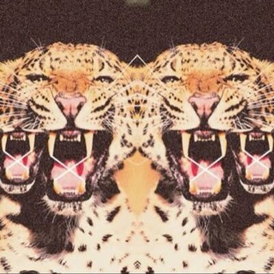 Profile Picture of Monette Thomas (@MonetteThomas) on Twitter