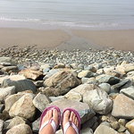 Profile Picture of Amanda Watson (@amandawatson3) on Flickr