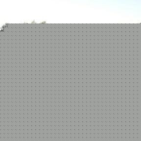 Profile Picture of Craig Shelley (@204550227) on Myspace