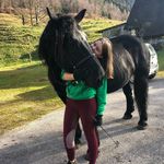 Profile Picture of Lisa Reiter (@reiter5266) on Instagram