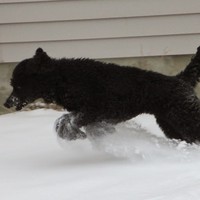 Profile Picture of Gregg Richter (@gregg-richter-4) on Quora