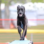 Profile Picture of Jacquelyn Schenk (@jacquelyn.schenk.7) on Facebook