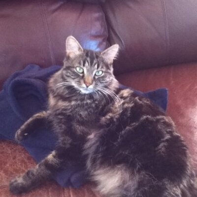 Profile Picture of Gabriel Bernier (@GabrieNan) on Twitter