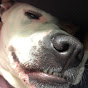 Profile Picture of Thomas Pennock (@thomaspennock9626) on Tiktok