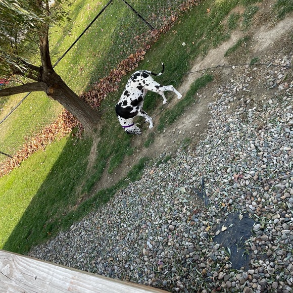 Profile Picture of Kyle Martin (@marrinkk21) on Poshmark