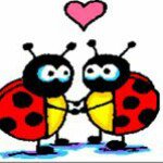 Profile Picture of Amanda Arguello (@arguelloamanda) on Instagram