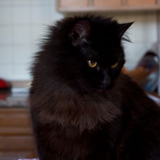 Profile Picture of Enzo Pinton (@enzo.pinton.1) on Facebook