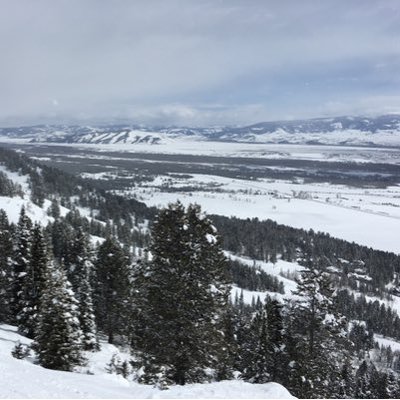 Profile Picture of Brandon Hodge (@_brandonhodge_) on Twitter