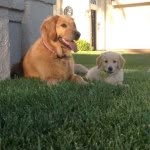 Profile Picture of Haley and Hunter •RIP Rudy• (@haley.hunter) on Instagram