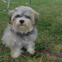 Profile Picture of Kevin Bartosz (@kevinbartosz) on Pinterest