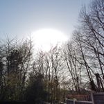 Profile Picture of Damian Osborne (@custosmorum01) on Instagram