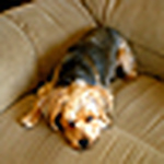 Profile Picture of Michael Chavez (@machavez00) on Flickr